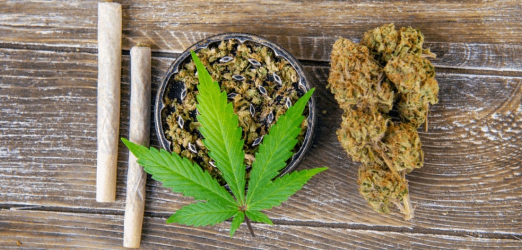 Die Geschichte von Cannapot und unseren Marihuanasamen