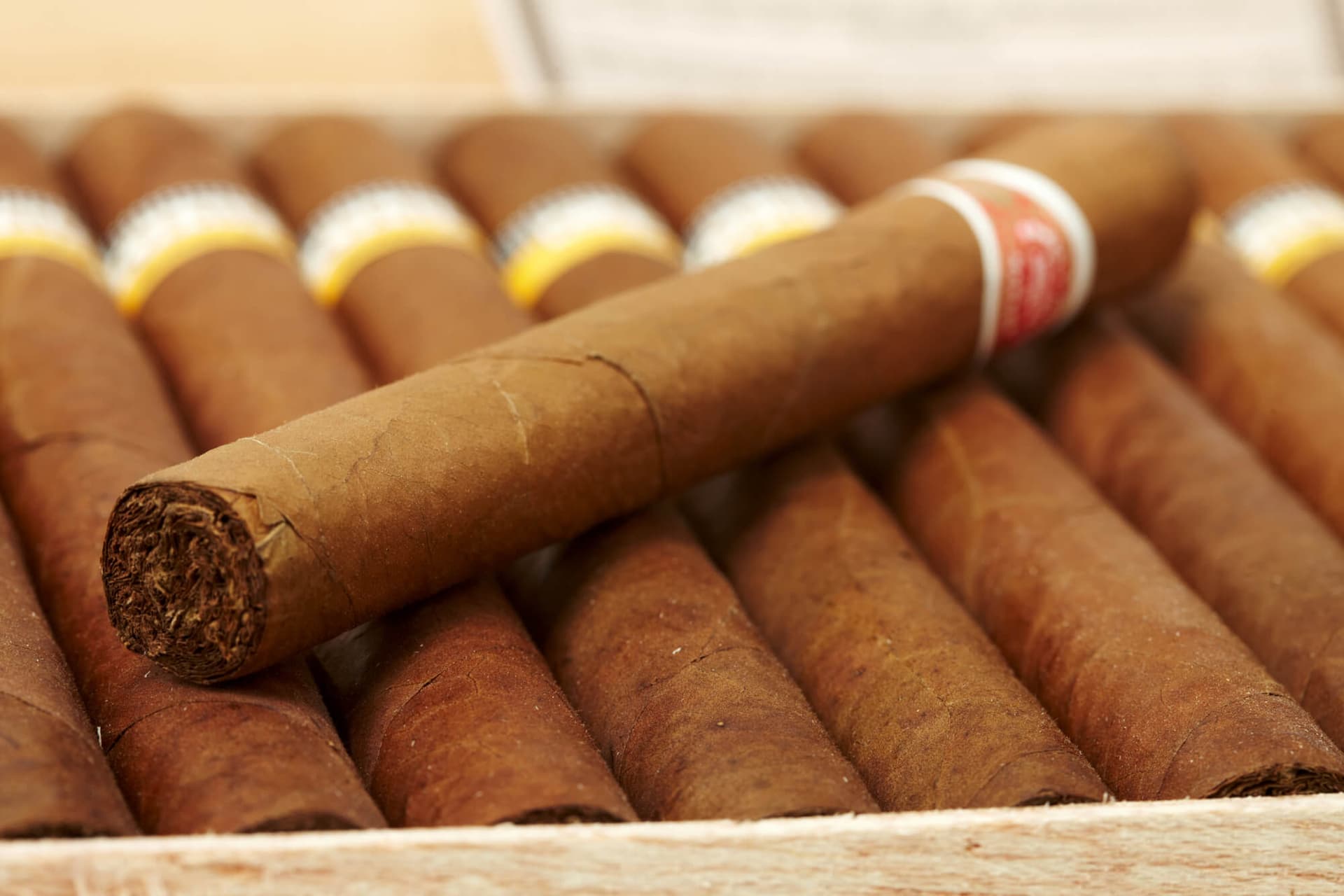 Erlesene Zigarren online bestellen: Willkommen bei C-Cigars