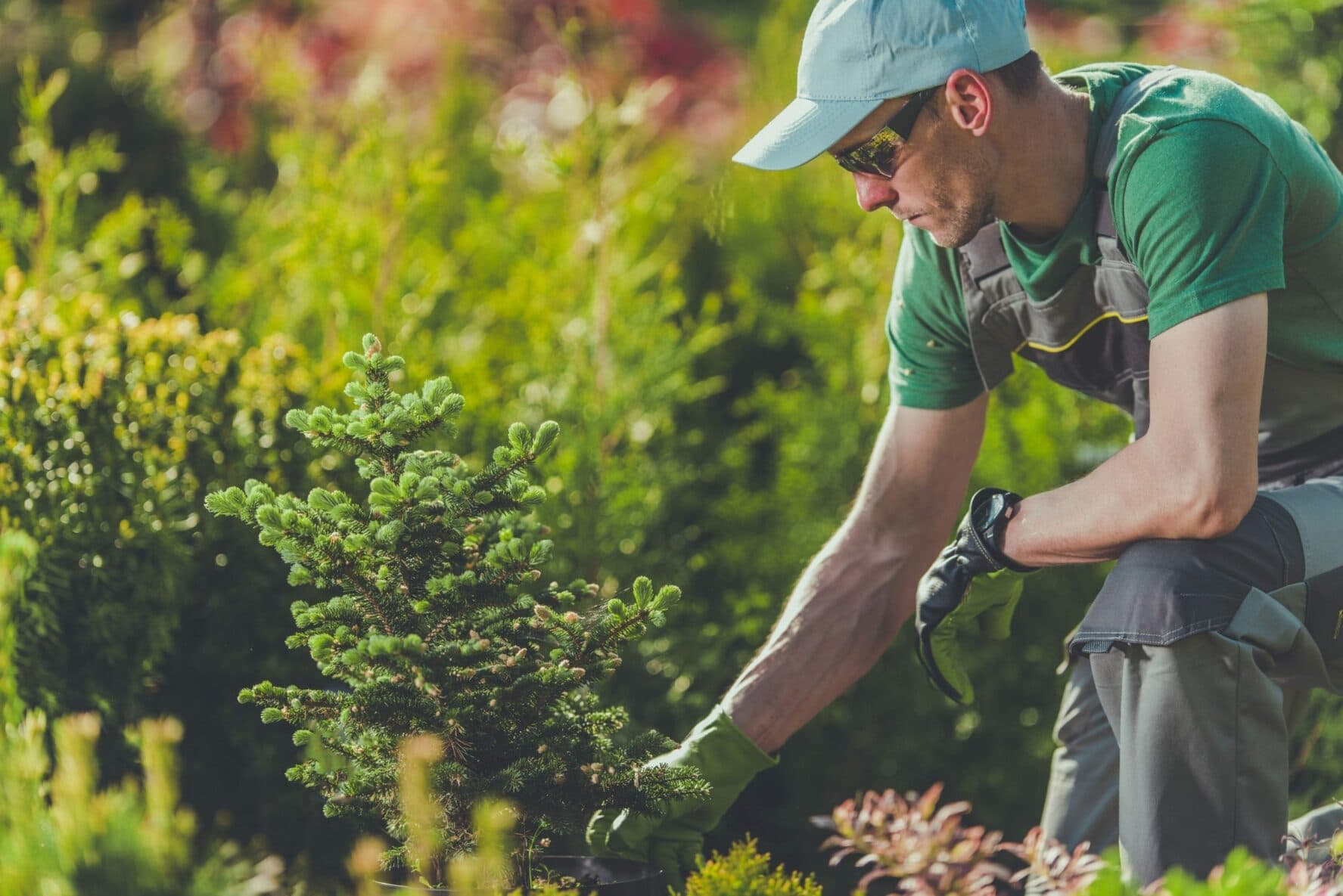 Premium-Qualität für Ihre Außenanlage – garten Landschaftsbau braunschweig